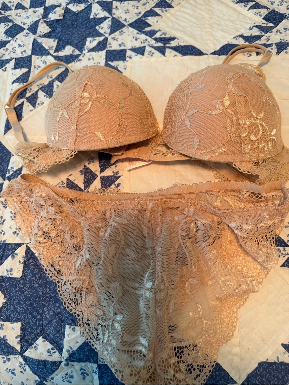 Sheer Lace Push-Up Bra and Bikini Set - Nude